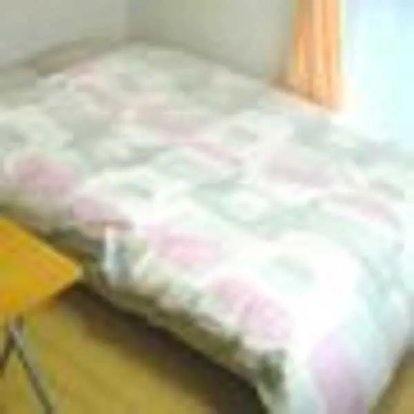Daily Apartment House Gojo Ivy Kyoto