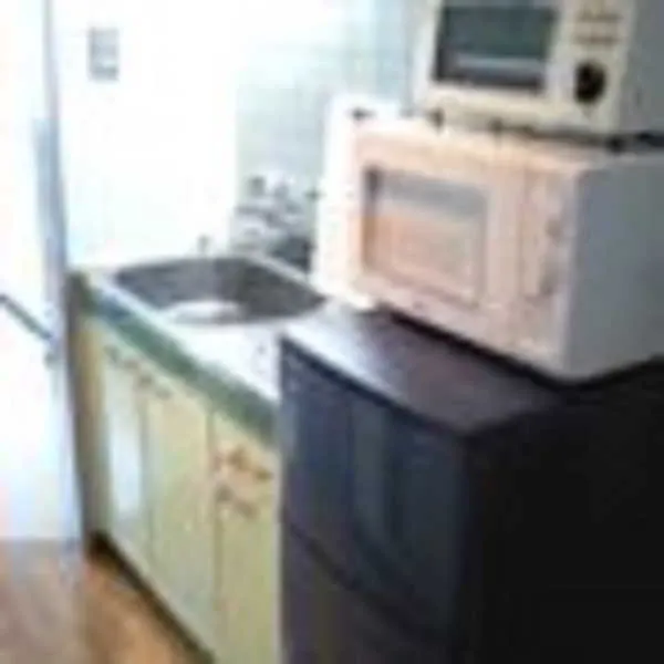 Daily Apartment House Gojo Ivy Kyoto 2*,